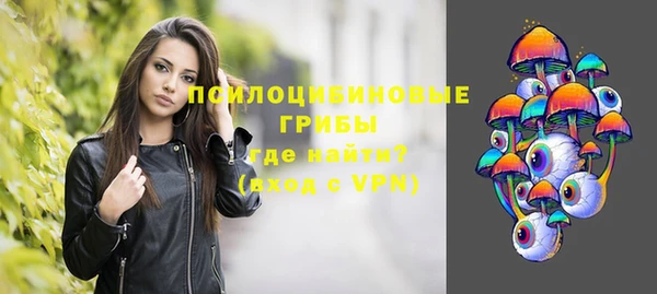 mdpv Мегион