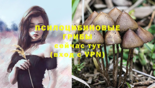 jwh Мегион